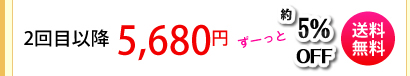 �G�{�����[�S�[���h�@������